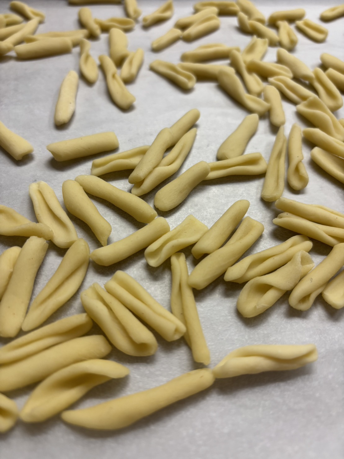 本格イタリアン10