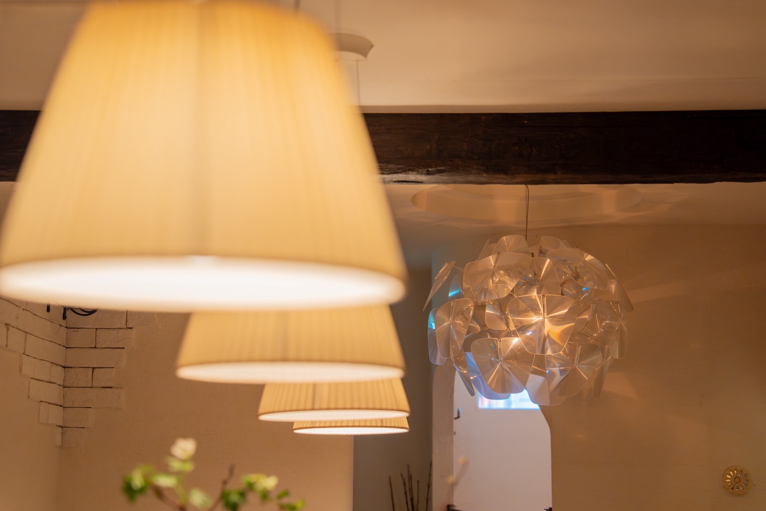 本格イタリアン8