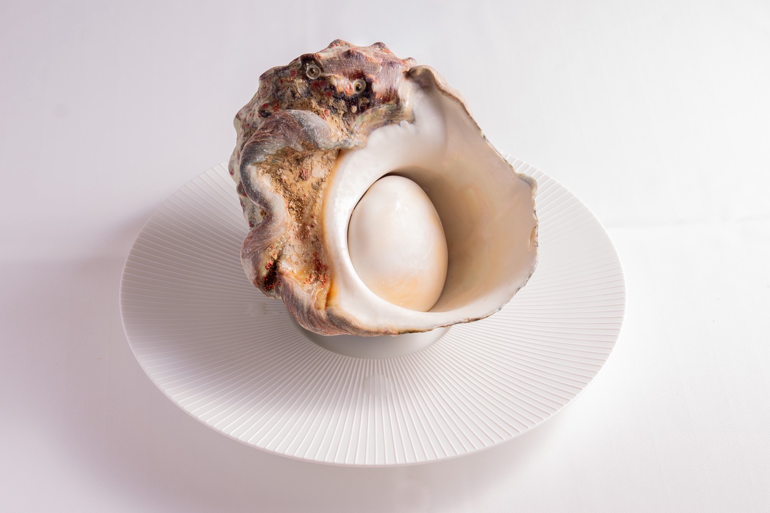 本格イタリアン11